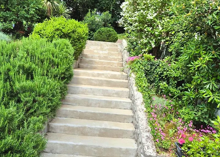Garden *