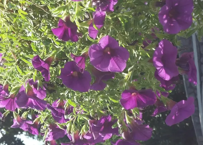 Garden Διαμέρισμα Οπατία
