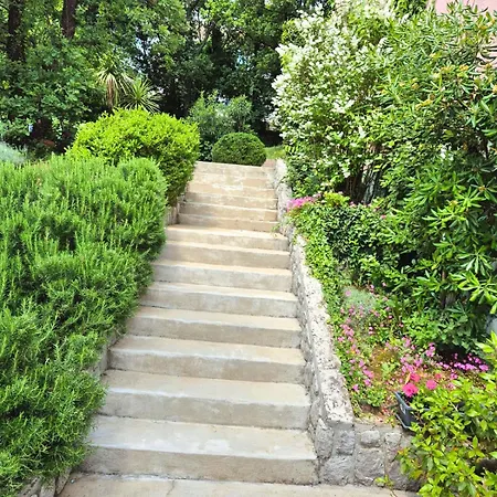 Garden *